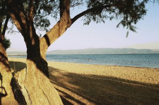 Καλλονή Λέσβου